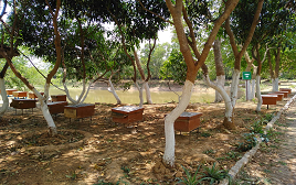 Three months certificate course/ curriculum on IFS for farmers